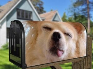 Puppy Tongue Out #1 Decorative Curbside Farm Mailbox Cover
