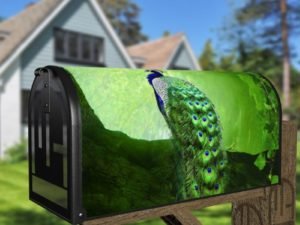 Peacock is Sitting on a Giant Tree Decorative Curbside Farm Mailbox Cover