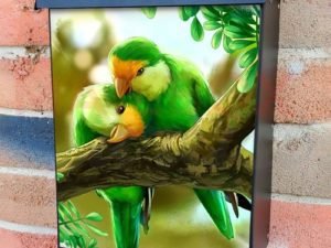 Pretty Parrot Couple Colonial Mailbox Cover