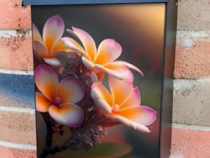 Pretty Plumeria Flowers Colonial Mailbox Cover