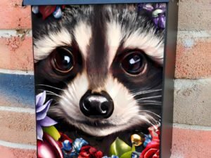 Cute Raccoon Face Colonial Mailbox Cover