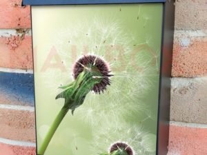 Dandelions in the Wind Colonial Mailbox Cover