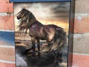 Beautiful Sunset Horse at the Sea #2 Colonial Mailbox Cover