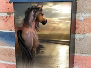 Beautiful Sunset Horse at the Sea Colonial Mailbox Cover