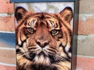 Resting Tiger Face Colonial Mailbox Cover