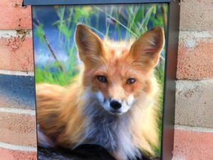 Summer Fox in the Grass Colonial Mailbox Cover