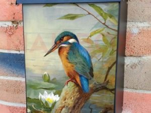 Kingfisher by Archibald Thorburn Colonial Mailbox Cover