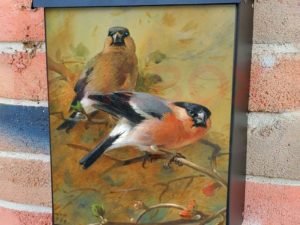 Bullfinches by Archibald Thorburn Colonial Mailbox Cover
