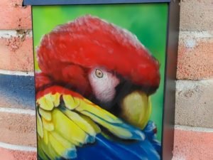 Cute Colorful Parrot Colonial Mailbox Cover