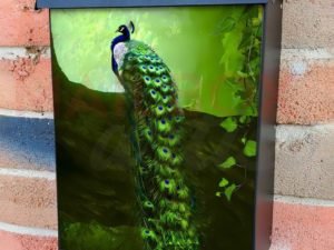 Green Forest and Peacock Colonial Mailbox Cover