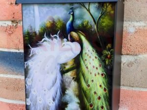 Colorful and White Peacocks Colonial Mailbox Cover