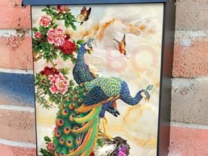 Chinese Traditional Colorful Peacocks Colonial Mailbox Cover