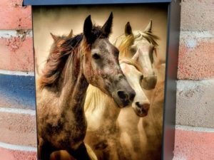 Beautiful Horse Herd Colonial Mailbox Cover