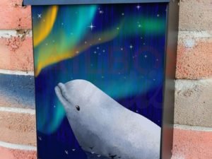 White Beluga and the Northern Light Colonial Mailbox Cover