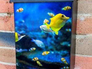 Colorful Fish Underwater Colonial Mailbox Cover