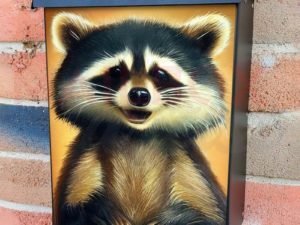 Adorable Smiling Raccoon Colonial Mailbox Cover