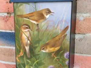 Warblers by Archibald Thorburn Colonial Mailbox Cover