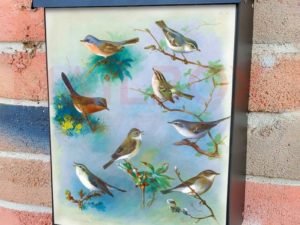 Warbler and Wrens by Archibald Thorburn Colonial Mailbox Cover