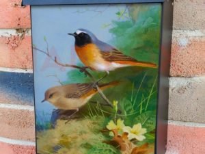 Pair of Redstarts by Archibald Thorburn Colonial Mailbox Cover