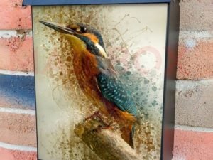 Pretty Kingfisher Colonial Mailbox Cover