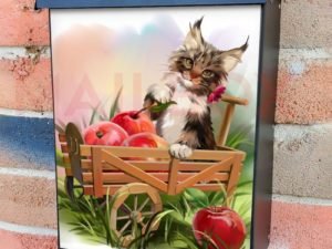 Cute Maine Coon Kitten with Apples Colonial Mailbox Cover