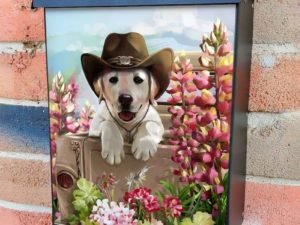Cute Golden Retriever Cowboy Puppy Colonial Mailbox Cover