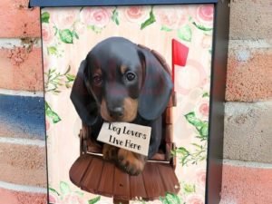 Dog Lovers Live Here Colonial Mailbox Cover