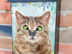 Adorable Kitten and a Butterfly Colonial Mailbox Cover
