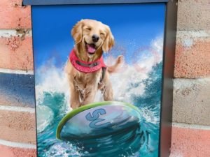 Happy Golden Retriever Surfer Colonial Mailbox Cover