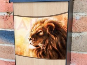 Beautiful Lion in the Sunset Colonial Mailbox Cover