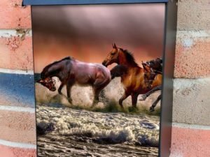 Beautiful Brown Horses in the Sea Colonial Mailbox Cover