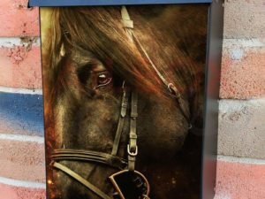 Beautiful Brown Horse Head Colonial Mailbox Cover