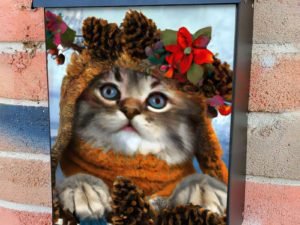 Cute Christmas Kitten with Pine Cones Colonial Mailbox Cover