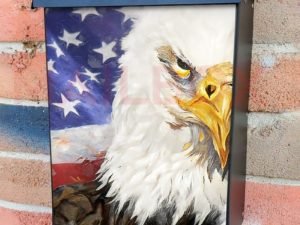 American Eagle and Flag #3 Colonial Mailbox Cover