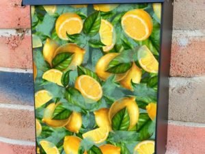 Pretty Lemon Design Colonial Mailbox Cover