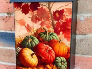 Colorful Pumpkin Field Colonial Mailbox Cover