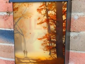 Foggy October Forest #4 Colonial Mailbox Cover