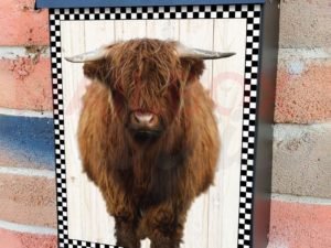 Young Highland Cow #2 Colonial Mailbox Cover