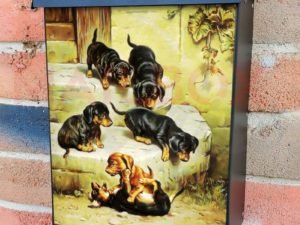 Dachshund Puppies Playing Colonial Mailbox Cover