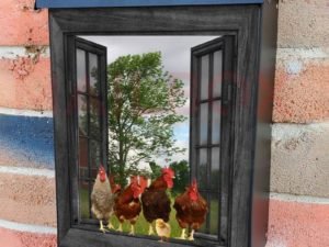 Hens and Roosters at the Window Colonial Mailbox Cover