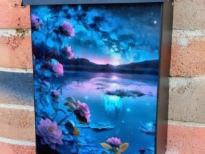 Milky Way above the Lake Colonial Mailbox Cover