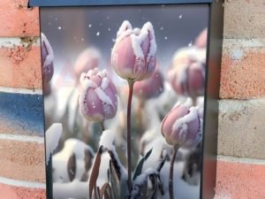 Tulips in the Snow #2 Colonial Mailbox Cover