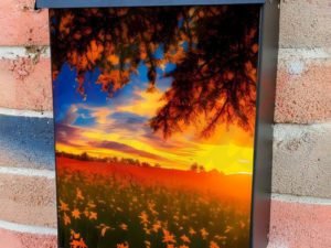 Sunset at the Lilly Field Colonial Mailbox Cover