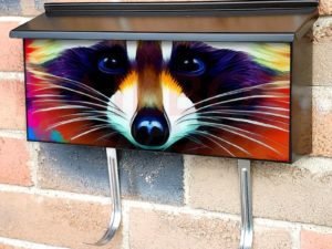 Pretty Rainbow Raccoon Townhouse Mailbox Cover