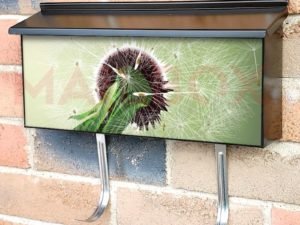 Dandelions in the Wind Townhouse Mailbox Cover