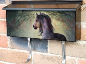 Beautiful Winter Horse #1 Townhouse Mailbox Cover