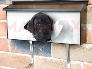 Cute Blue Eyed Puppy Townhouse Mailbox Cover