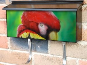 Cute Colorful Parrot Townhouse Mailbox Cover