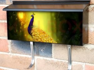 Golden Peacock in the Fairy Forest Townhouse Mailbox Cover