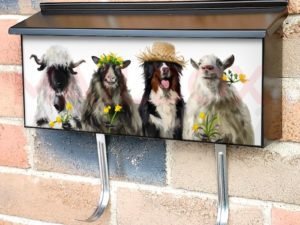 Shepherd Dog and Three Sheep Townhouse Mailbox Cover